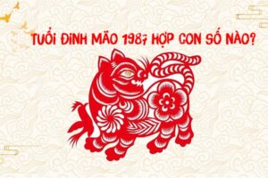 Tuổi 1987 hợp số nào