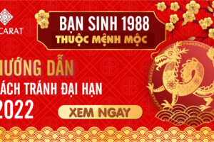 Tuổi 1988 hợp màu gì