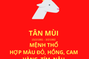 Tuổi 91 hợp tuổi nào