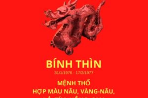 Tuổi bính thìn 1976 hợp màu gì