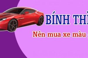 Tuổi bính thìn 1976 hợp xe màu gì