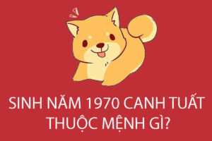 Tuổi canh tuất mệnh gì