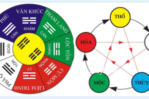 Tuổi của các năm sinh