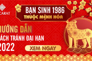 Tuổi dần 1986 hợp màu gì