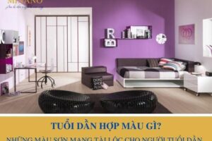 Tuổi dần hợp màu gì