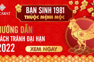 Tuổi dậu 1981 hợp màu gì