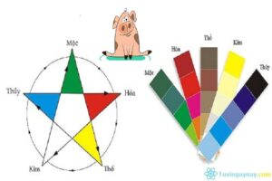 Tuổi hợi 1983 hợp màu gì năm 2021