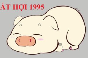 Tuổi hợi 1995 hợp màu gì năm 2021