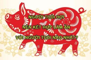 Tuổi hợi hợp với tuổi nào trong làm ăn