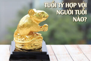 Tuổi hợp với tuổi tý