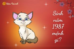 Tuổi mão 1987 mệnh gì