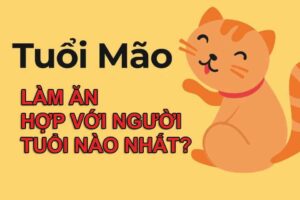 Tuổi mão hợp với tuổi nào trong làm ăn