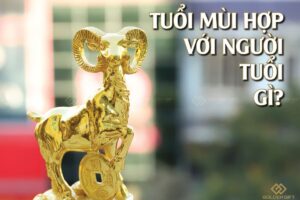 Tuổi mùi hợp với tuổi gì