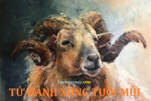 Tuổi mùi xung khắc với tuổi nào