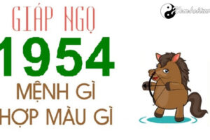 Tuổi ngọ 1954 mệnh gì