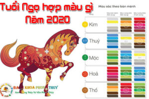 Tuổi ngọ 1990 hợp màu gì năm 2021