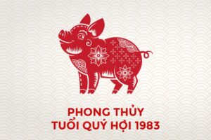 Tuổi quý hợi hợp màu gì