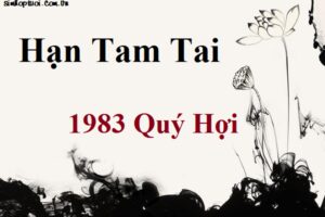 Tuổi quý hợi tam tai năm nào