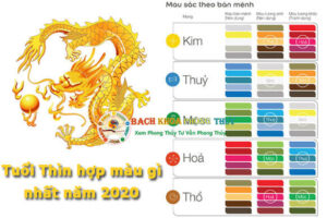 Tuổi thìn hợp màu gì 2021