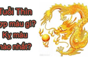 Tuổi thìn hợp màu xe gì