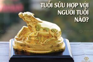 Tuổi trâu hợp với tuổi gì