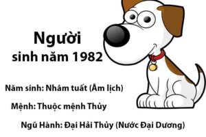 Tuổi tuất 1982 hợp màu gì