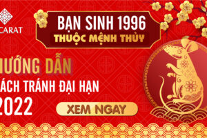 Tuổi tý 1996 hợp màu gì