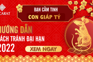 Tuổi tý hợp màu nào