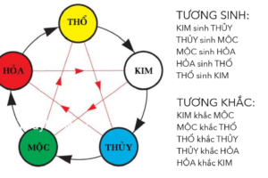 Tuổi và mệnh cái nào quan trọng hơn