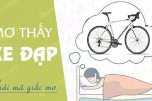 Xe đạp là số mấy