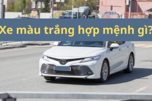 Xe màu trắng hợp mệnh gì