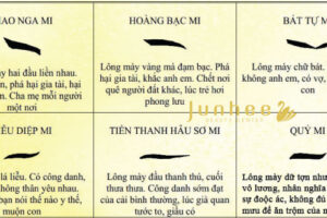 Xem long may doan tinh cach