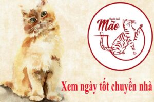 Xem ngày chuyển nhà tuổi ất mão