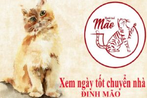 Xem ngày tốt cho tuổi đinh mão