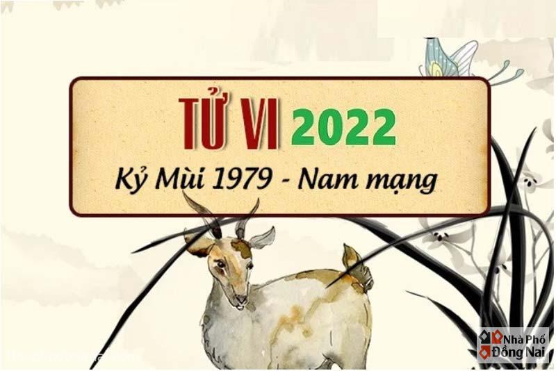 Rất Hay: Xem Tử Vi Tuổi Kỷ Mùi 1979 Năm 2022 Nam Mạng Chi Tiết